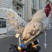 Galo garnisé participa de procissão de Corpus Christi com terço no pescoço em cima de bicicleta no RS